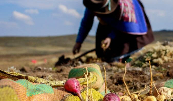 Perù: una miniera di superfoods!